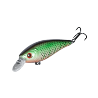 Sinking Minnow